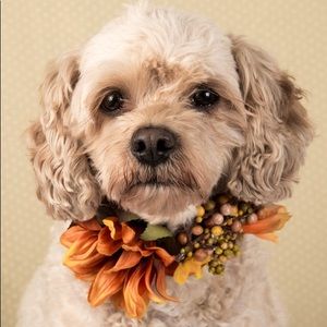 Meet your Posher, Patricia